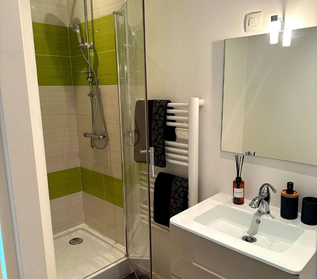 L'oasis Cosy Appartement Villeurbanne