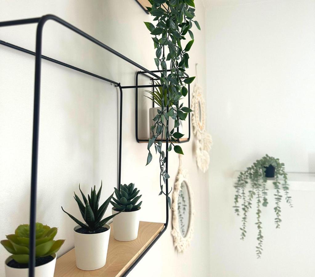 L'oasis Cosy Appartement *