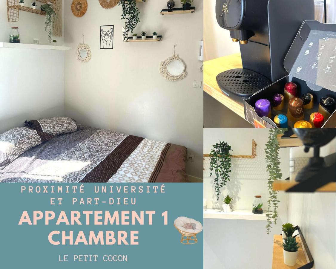 L'oasis Cosy Appartement