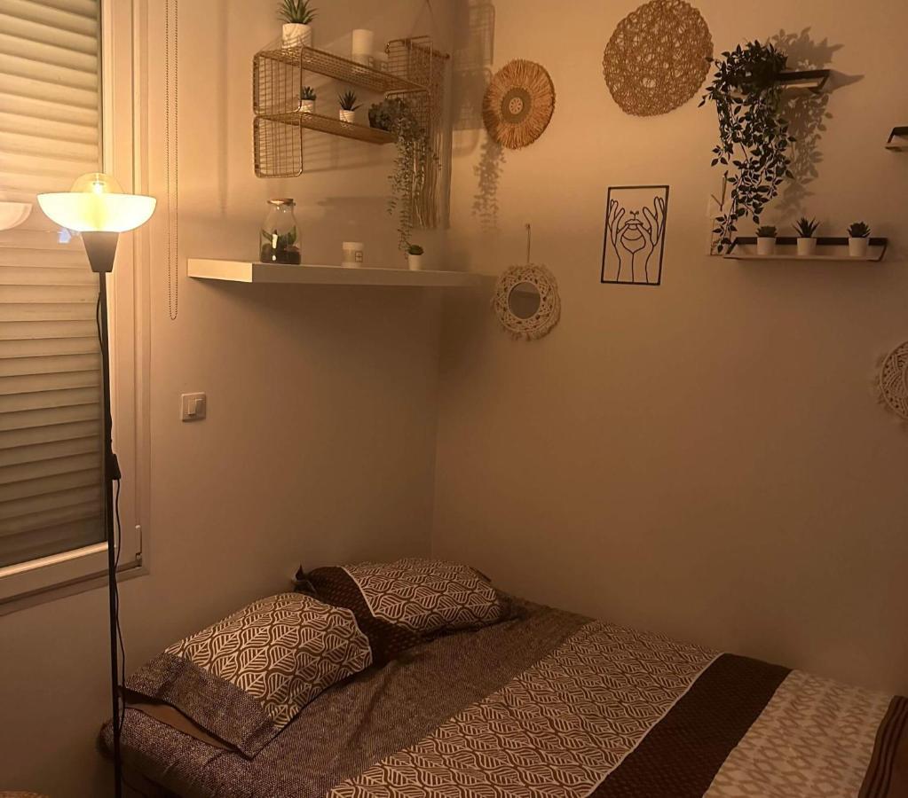 L'oasis Cosy Appartement Villeurbanne